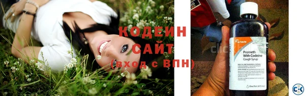 ПСИЛОЦИБИНОВЫЕ ГРИБЫ Арсеньев
