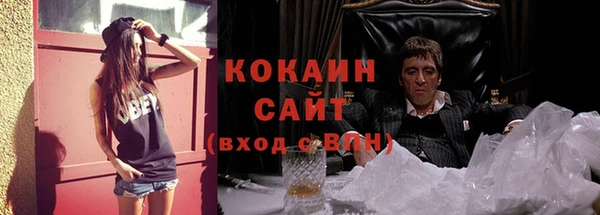 ПСИЛОЦИБИНОВЫЕ ГРИБЫ Арсеньев