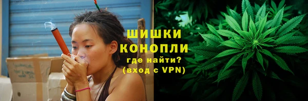 ПСИЛОЦИБИНОВЫЕ ГРИБЫ Армянск