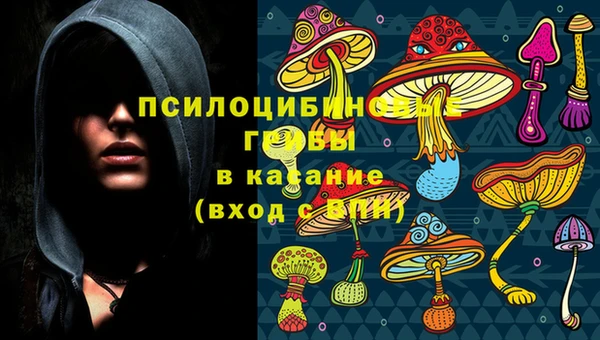 мет Аркадак