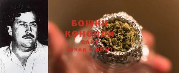 ПСИЛОЦИБИНОВЫЕ ГРИБЫ Арсеньев