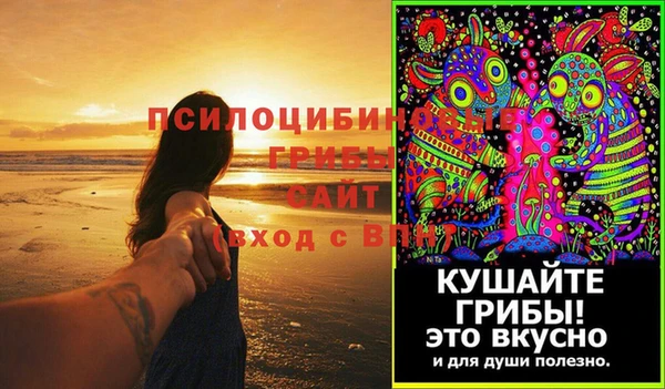 ПСИЛОЦИБИНОВЫЕ ГРИБЫ Арсеньев
