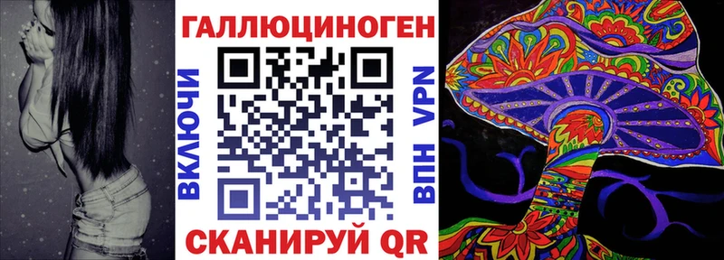 купить наркотики цена  Опочка  нарко площадка как зайти  Псилоцибиновые грибы мицелий 
